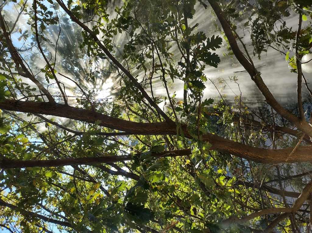 No s'ha trobat l'arxiu